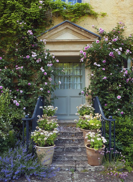 Lush green and pink bloom climbers on both sides of the door match the greenery and pink blooms in planters on the steps. 