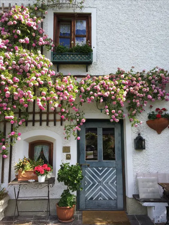 Jaw-droppingly beautiful pink climbing rose vines on the wall add color and a Mediterranean feel to the house. 