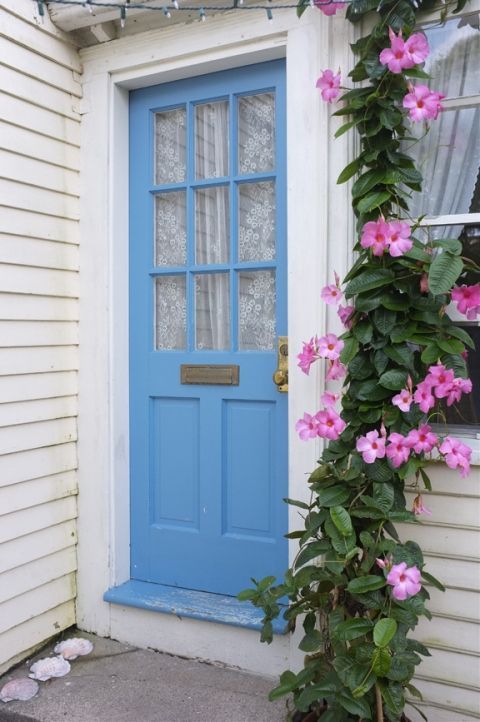 A bright blue door paired with bright pink flourishing vines create a very bright and catchy entrance.