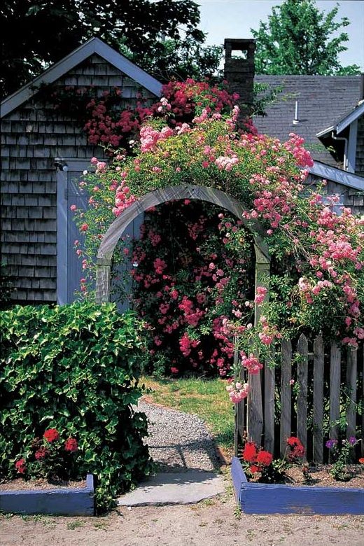 bold pink blooms and greenery covering the fence and arbor look ultimate, bold and catchy, they instantly steal the show