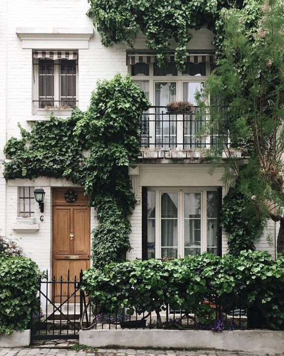 A stylish white facade is refreshed with lots of greenery: trees, shrubs, vines climbing   up the balcony and the walls. 