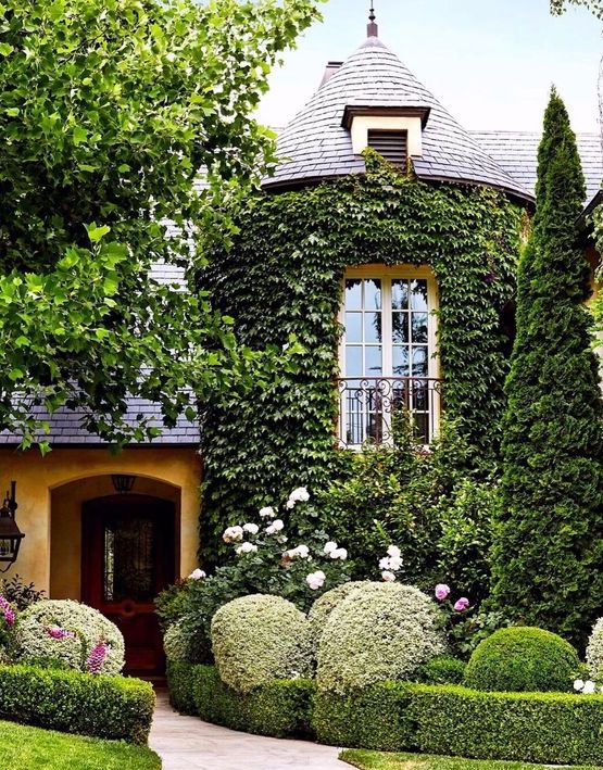 A sophisticated house with a whole wall covered with vines, with topiaries around for a bold and very eye-catchy look.