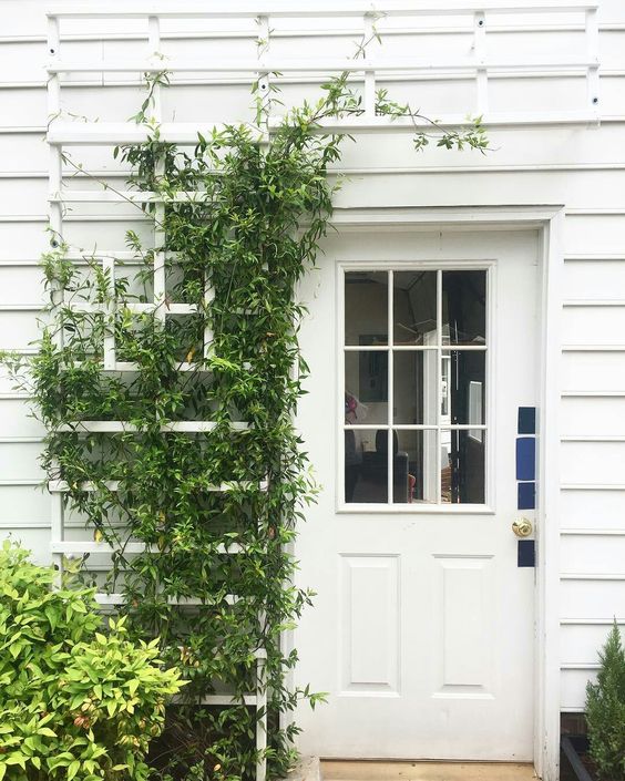 A white porch always looks much fresher with greenery, and these can be green vines on the wall. 