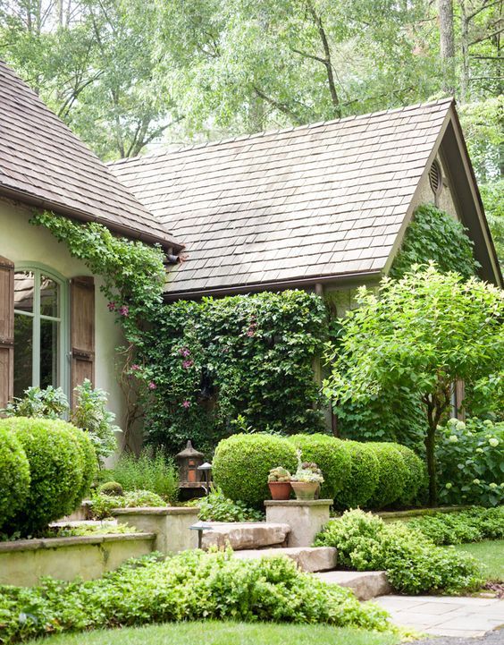 A very lush and lively front yard done with green trees, topiaries and green vines covering the walls of the house.