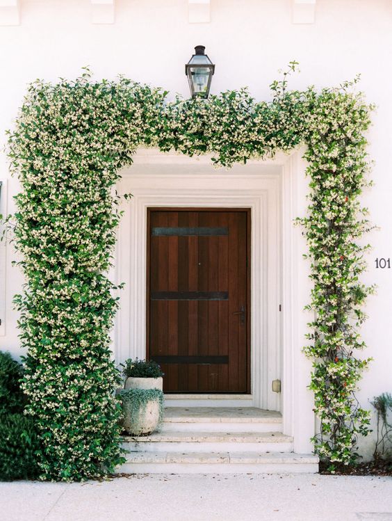 An elegant and exquisite entrance with a stained door and lush blooming vines going over the porch to add a chic touch to the space.