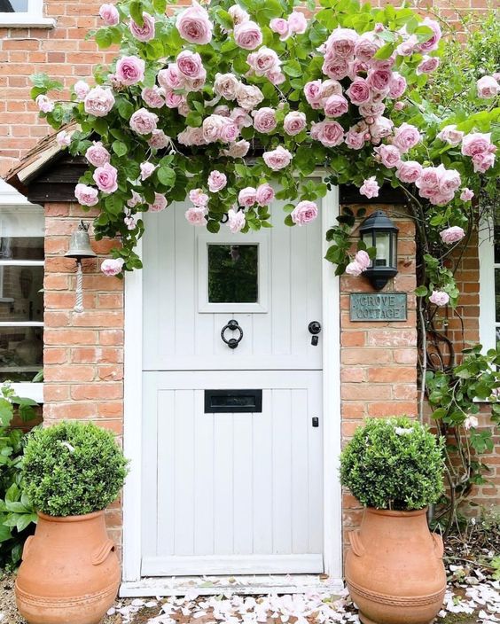 A white door accented with lush pink climbing rose vines going over the door create a very beautiful combo that contrasts the brick walls. 