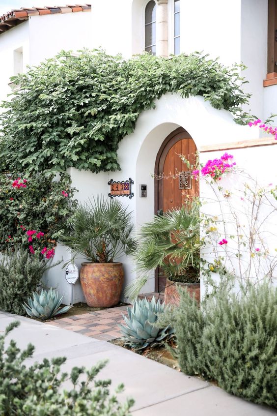A very chic Mediterranean porch with green vines covering the walls, bold blooms and grasses and potted plants to make it fresh.