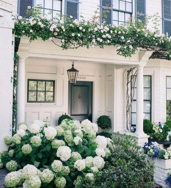 A sophisticated white porch with a small balcony covered with white blooming climbers and white hydrangeas planted next to the porch.