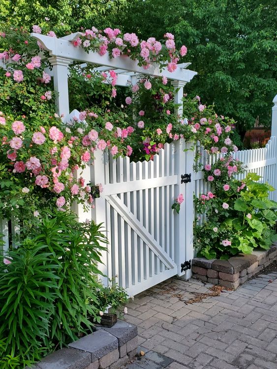 opulent pink vines covering the fence and arbor add a fresh feel and create an idyllic look in the space