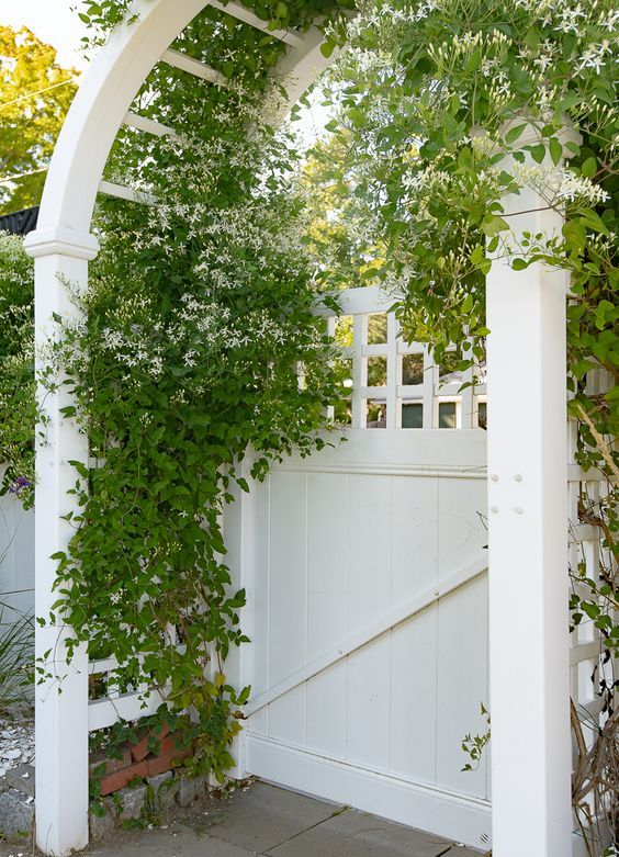 refresh your gate with lush greenery or white blooms, such a fresh look is perfect for a cottage garden and entrance