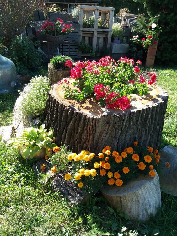 several stumps as planters for bold purple, red, orange and yellow blooms and greenery are an amazing arrangement for outdoors