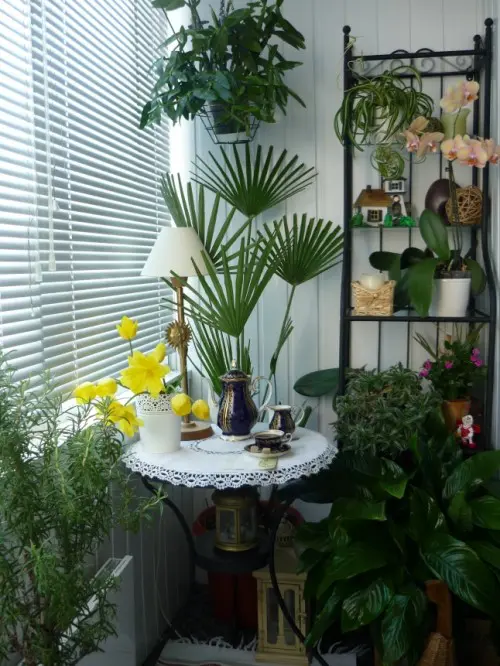 a small balcony that is an orangery, with lots of potted plants and blooms and some furniture feels very lush and beautiful