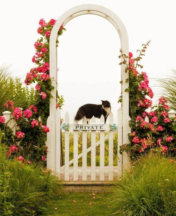 vibrant pink vines covering the arbor bring a cozy cottage feel to the space and make it look vibrant, cool and catchy