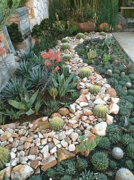 a bold desert garden with rocks and cacti in them, agaves and succulents is a stylish and catchy solution with a boho feel