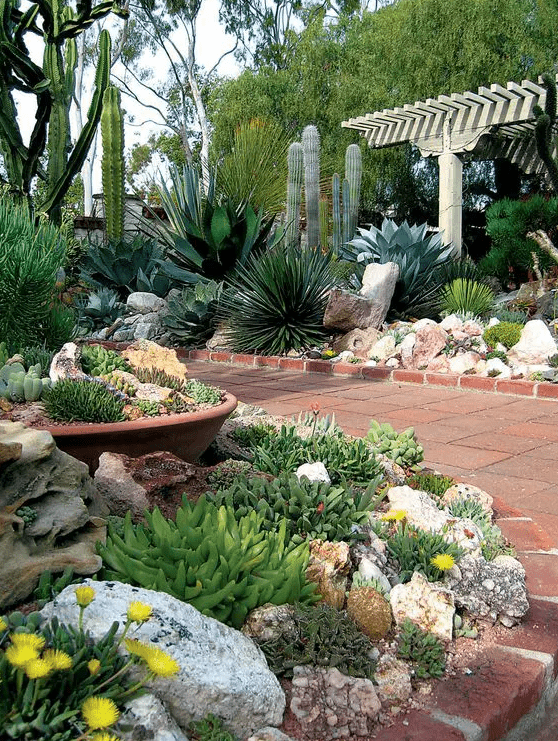 a rock garden with succulents, bold wildflowers and some grasses is a cool solution for a dry climate, the other part of the garden shows off succulents