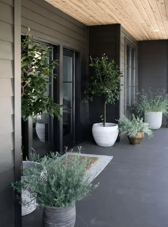 a simple and stylsih modern front porch with black walls and a black tile floor, potted greenery and trees is amazing