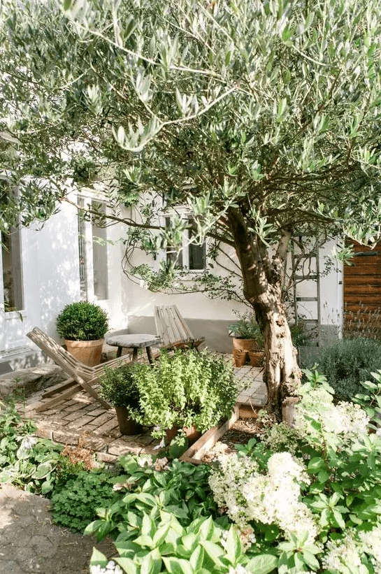 a small and cozy backyard with a brick clad space, some wooden chairs and lots of greenery and a tree around