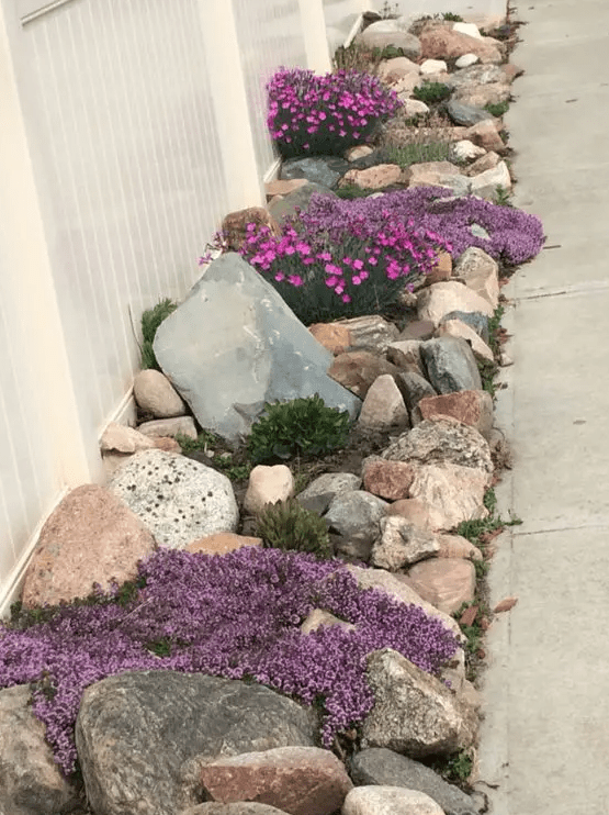 a stunning large rock garden with purple flowers of different kinds and some greenery and succulents is a cool solution