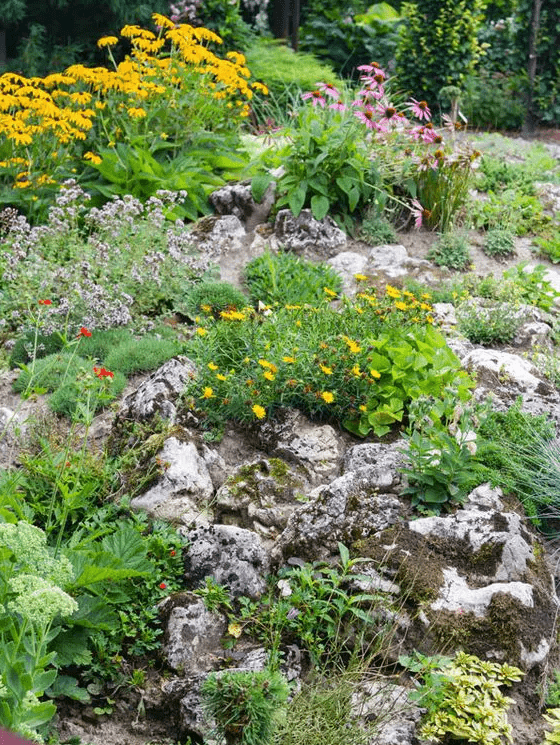 Alpine plants are perfect if you’re pushed for space or want to create a stylish low-key area