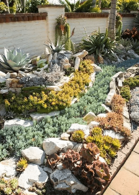 rows of colored succulents and agaves paired with rows of rocks and pebbles are a cool idea for any desert garden