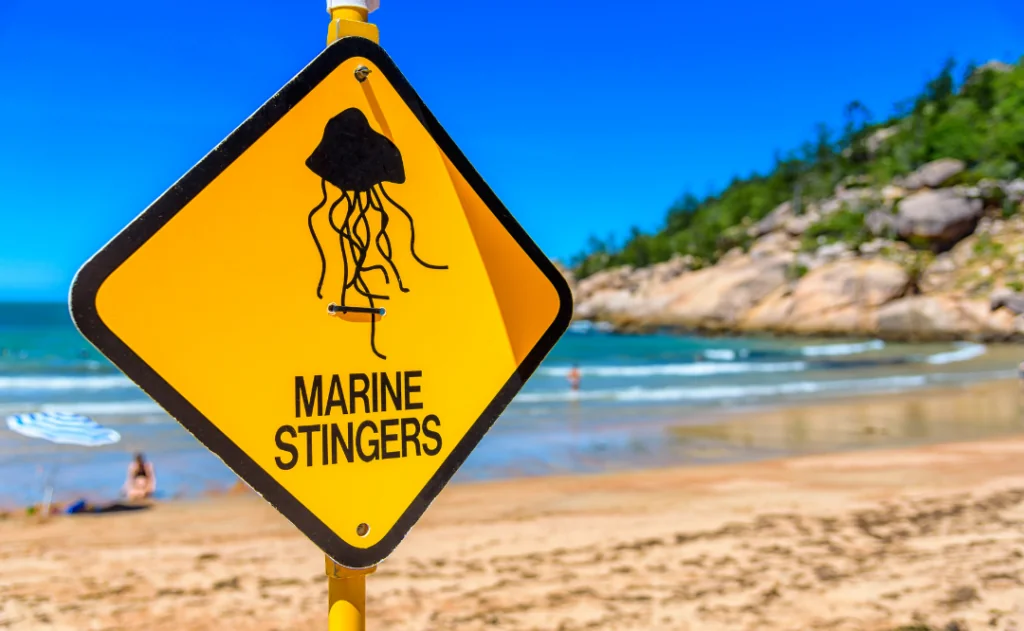 A sign on the beach to warn swimmers in Queensland Australia of marine stingers in the water