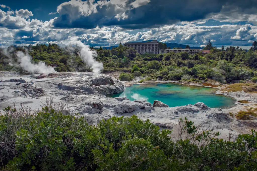 Whakarewarewa geyser at te pui thermal park in geothermal valley of rotorua