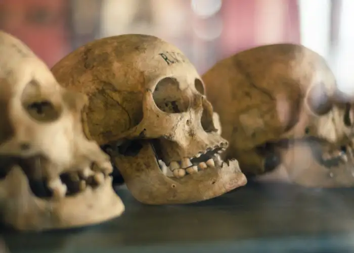 9 Incredibly Creepy Museums