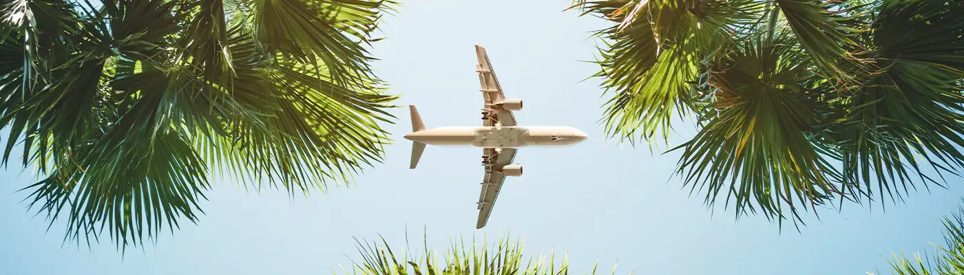 Airplane flying over palm trees