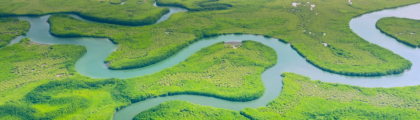 Aerial view of Amazon rainforest in Brazil, South America. Green forest. Bird's-eye view.