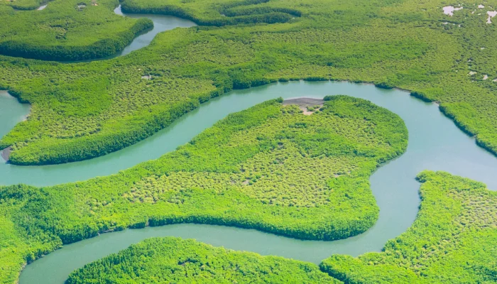 Aerial view of Amazon rainforest in Brazil, South America. Green forest. Bird's-eye view.