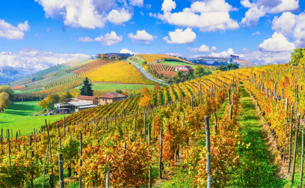 Beautiful autumn landscape with vineyards in Tuscany. Famous wine region of Italy.