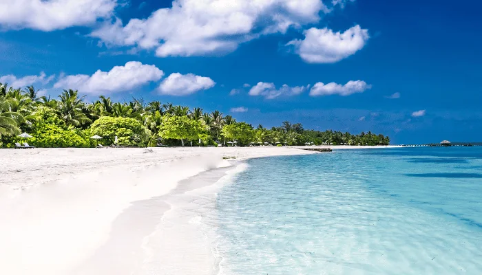 Beautiful beach and tropical sea. Sea view tropical sea with summer background