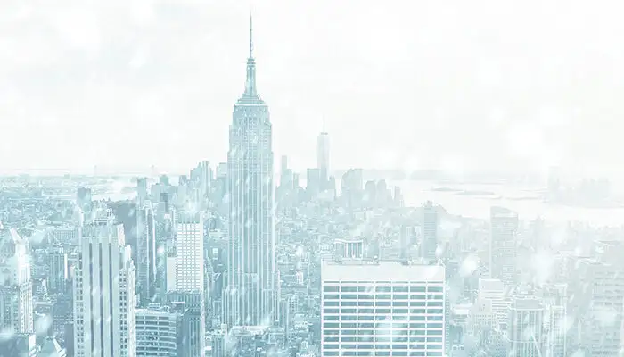 Wintery New York skyline covered in snow