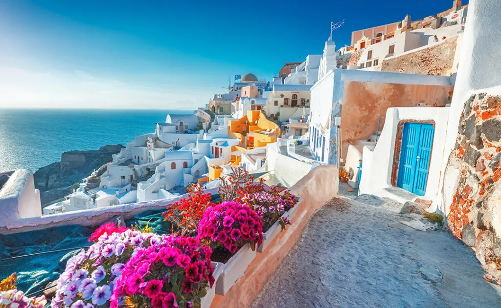 Santorini, Greece. Picturesq view of traditional cycladic Santorini houses on small street with flowers in foreground. Location: Oia village, Santorini, Greece. Vacations background.