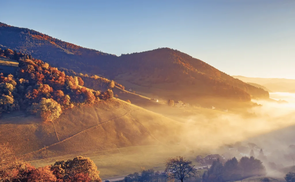 Scenic foggy mountain landscape in Black Forest, Germany. Colorful travel landscape