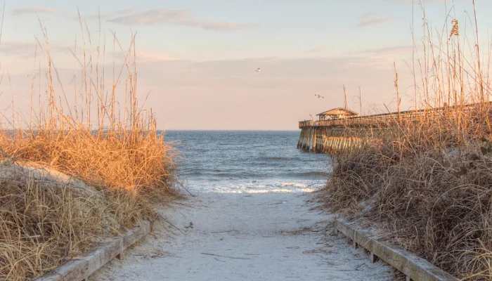 Atlantic Ocean Background. Boardwalk through dune grass to the Atlantic Ocean with a pier in the background. Myrtle Beach, South Carolina.