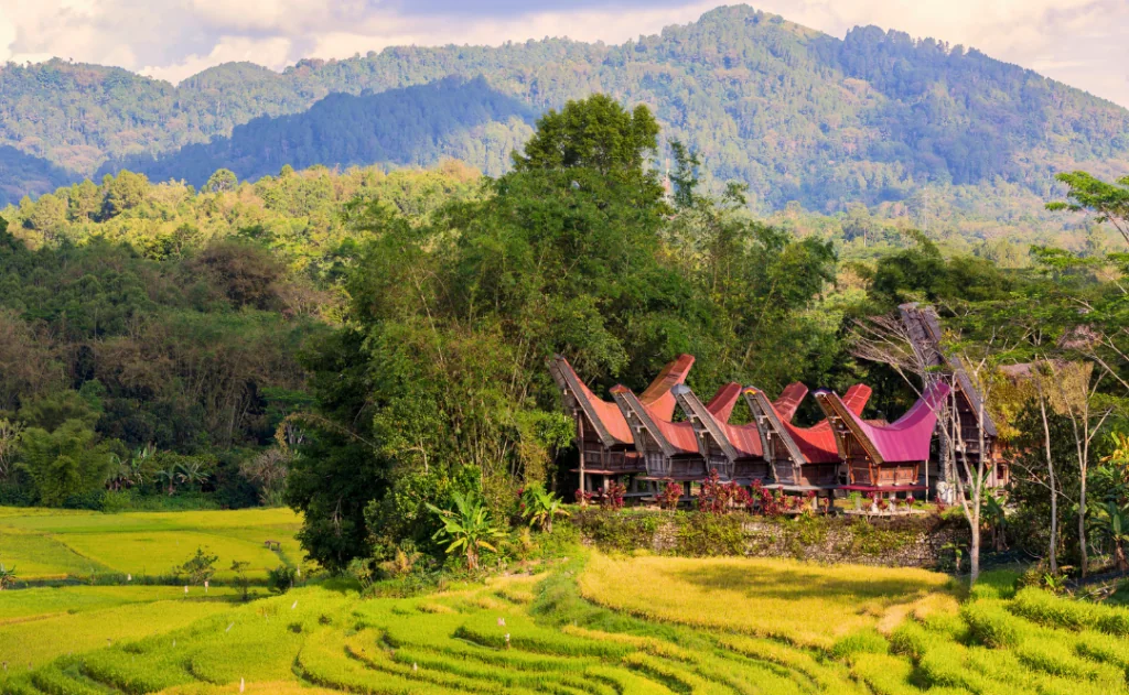 Tongkonan is a traditional house of the Toraja tribe which is usually used as a rice barn and a place to live.