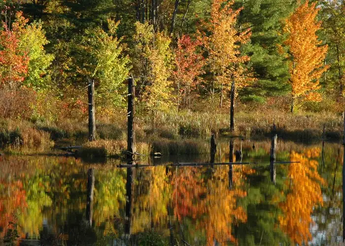 Hayward Lakes, Wisconsin