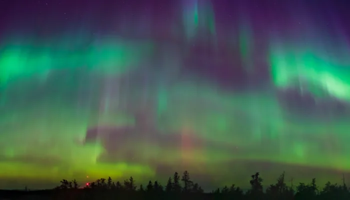 Colorful Aurora Borealis, Northern Lights, at Yellowknife, Northwest Territories, Canada